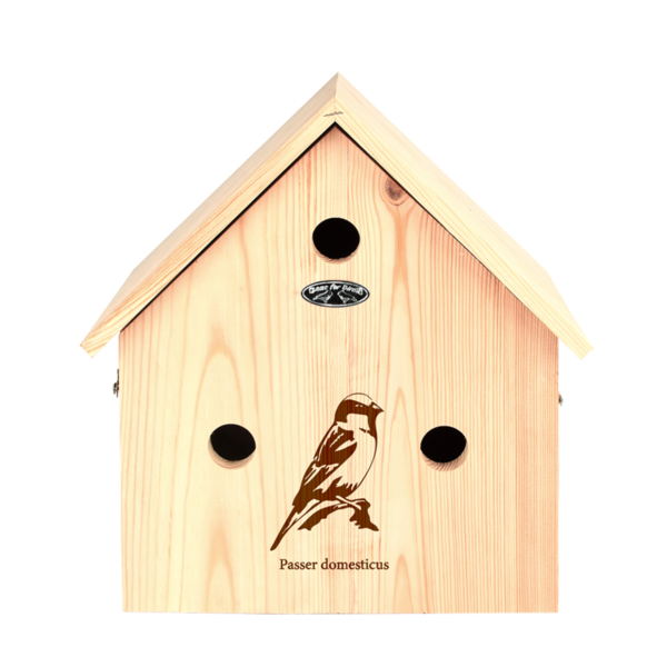 Spatzenvilla mit Silhouette
