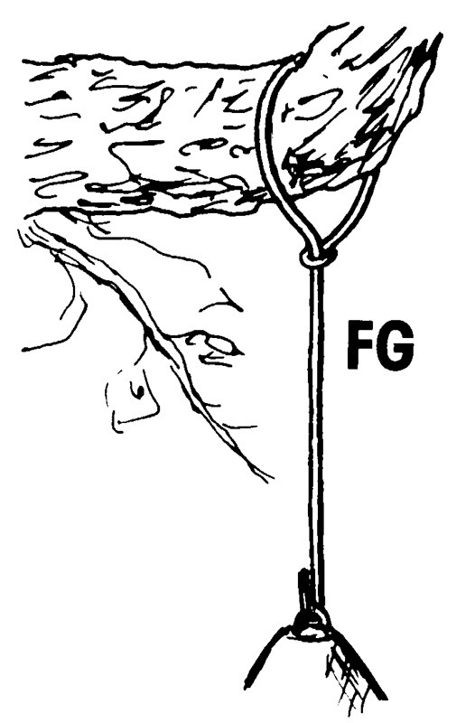 Schwegler Nisthöhle 2M mit Marderschutz, FG 32mm Flugloch