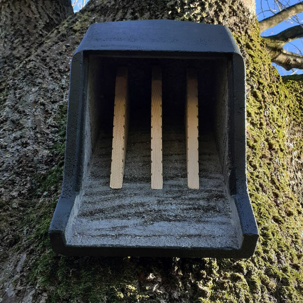 ERBECK - Fledermaus Großraumkasten universal aus Holzbeton